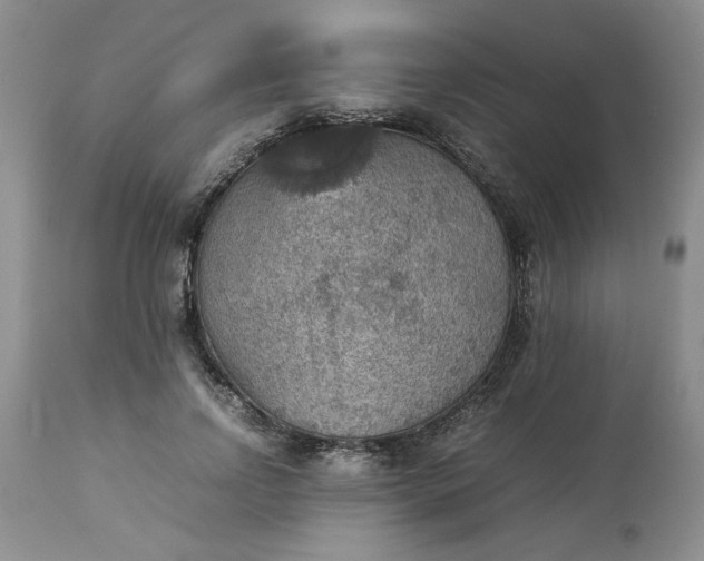 X0000113590742200910021716