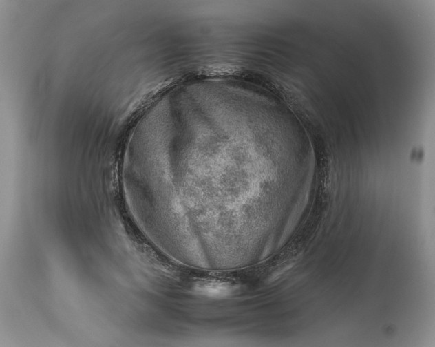 X0000113590743200910021716