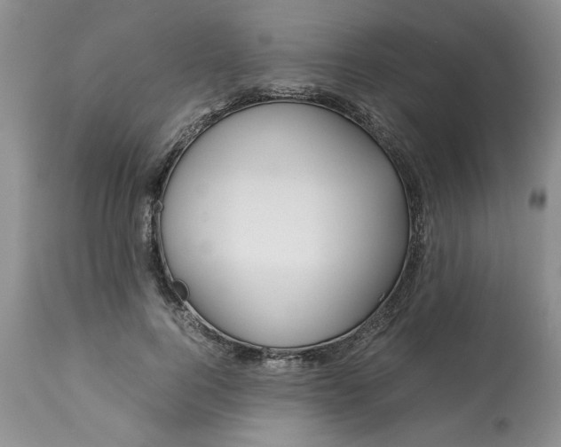 X0000113590744200910021716