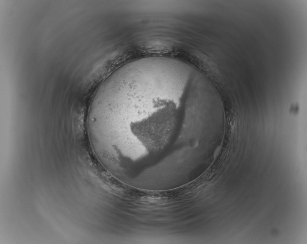 X0000113590745200910021716