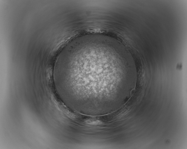 X0000113590747200910021716