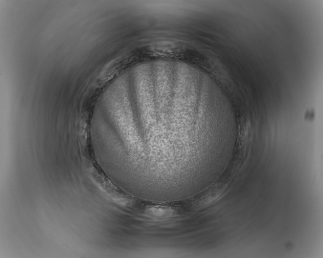 X0000113590749200910021716