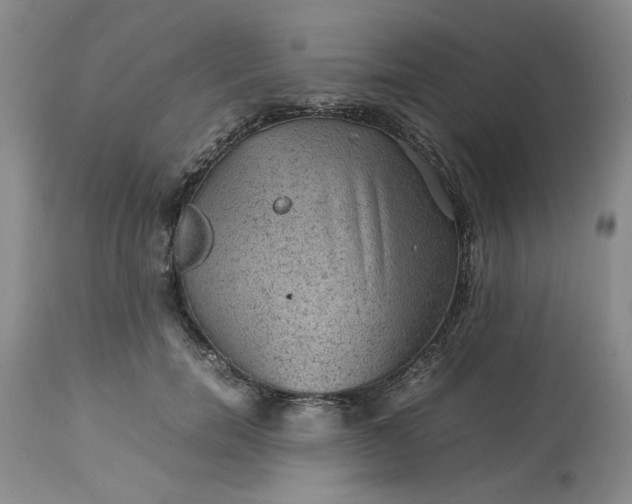 X0000113590750200910021716