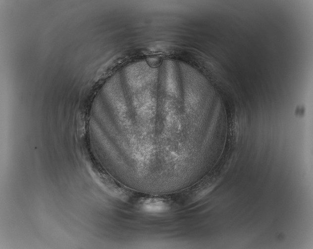 X0000113590751200910021716