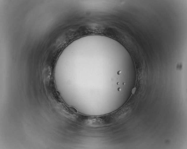 X0000113590752200910021716