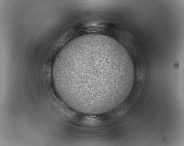 X0000113590753200910021716