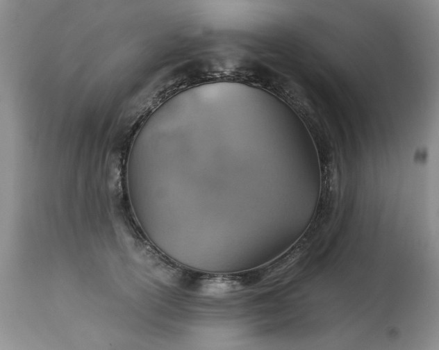 X0000113590754200910021716