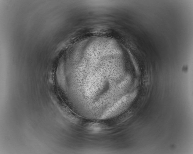 X0000113590755200910021716