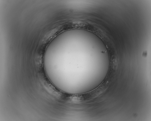 X0000113590756200910021716