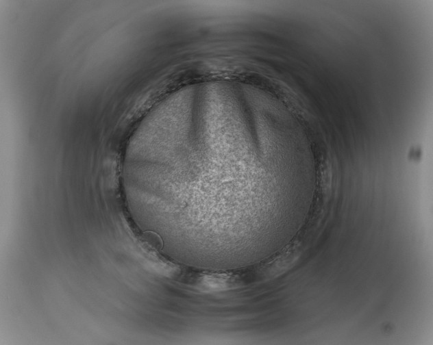 X0000113590757200910021716