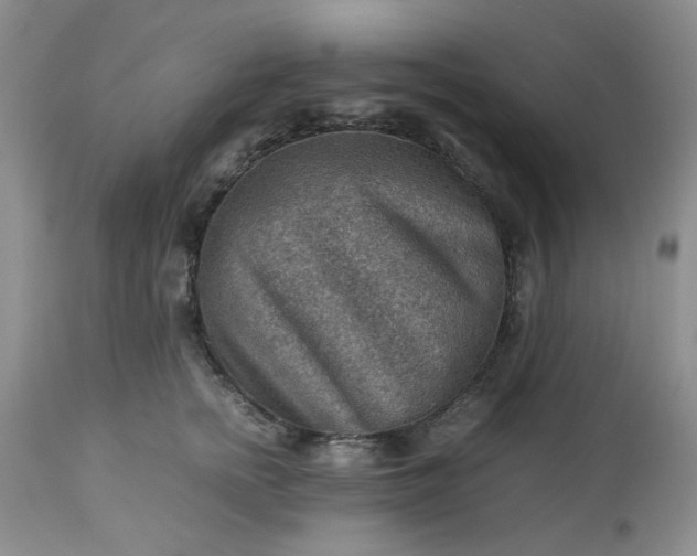 X0000113590758200910021716