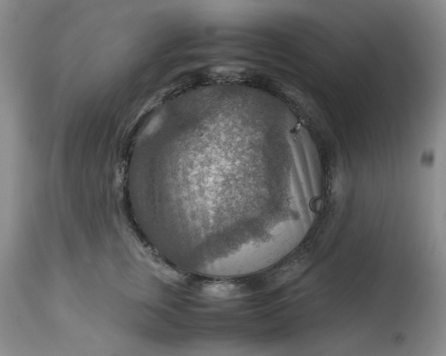 X0000113590759200910021716