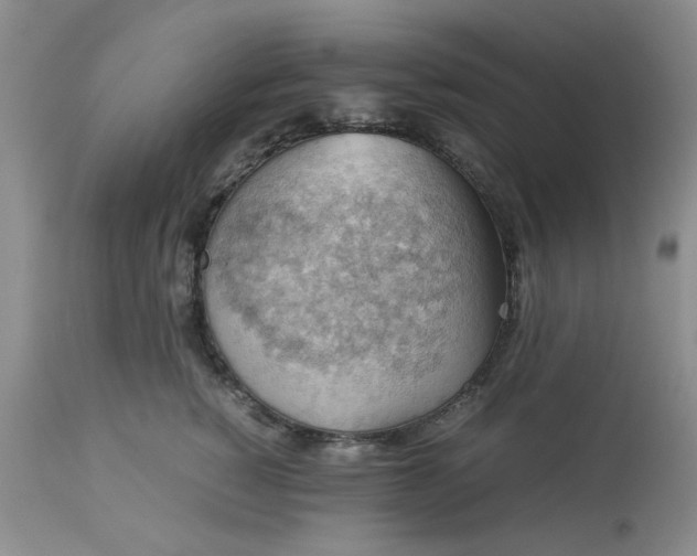 X0000113590760200910021717