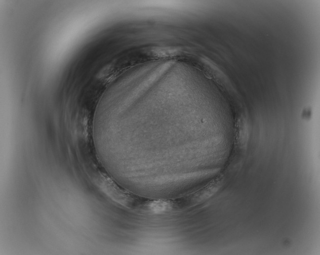 X0000113590762200910021717