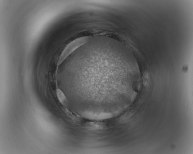 X0000113590763200910021717