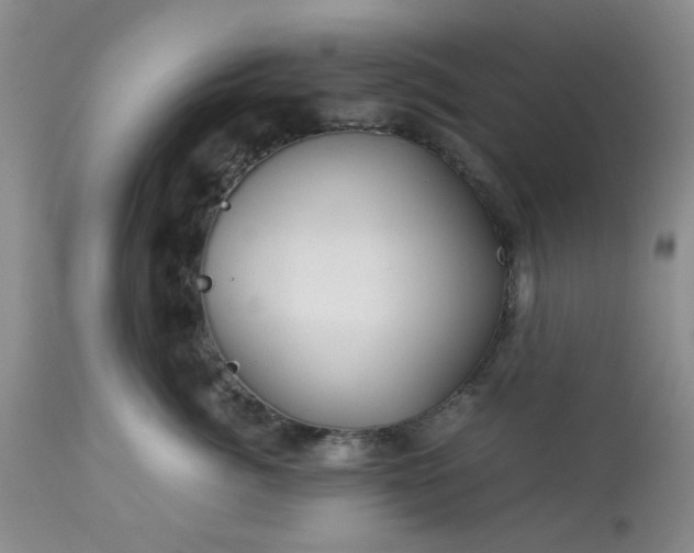 X0000113590764200910021717