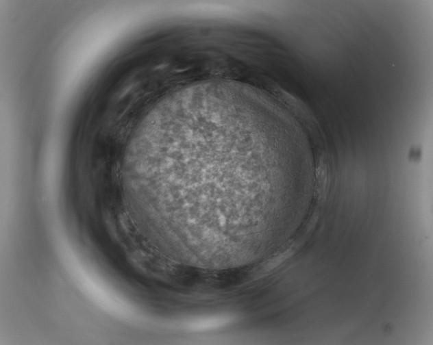 X0000113590765200910021717