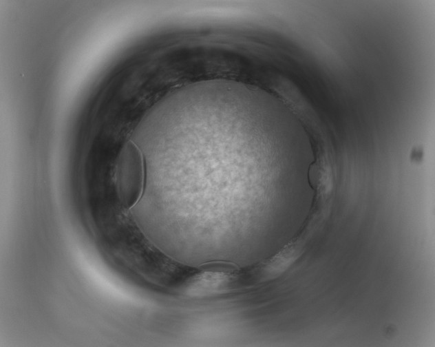 X0000113590766200910021717