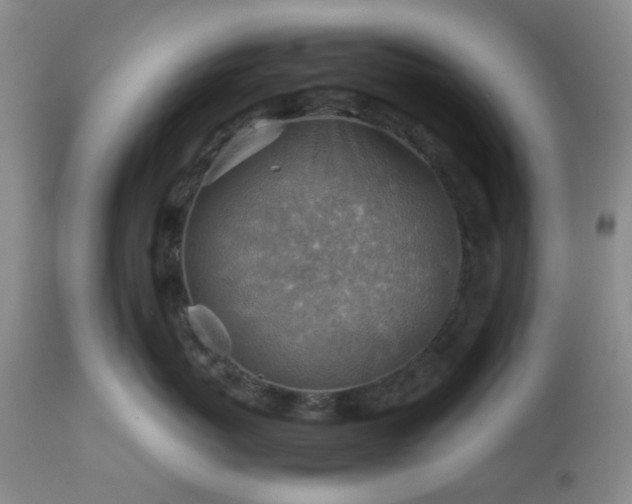 X0000113590767200910021717