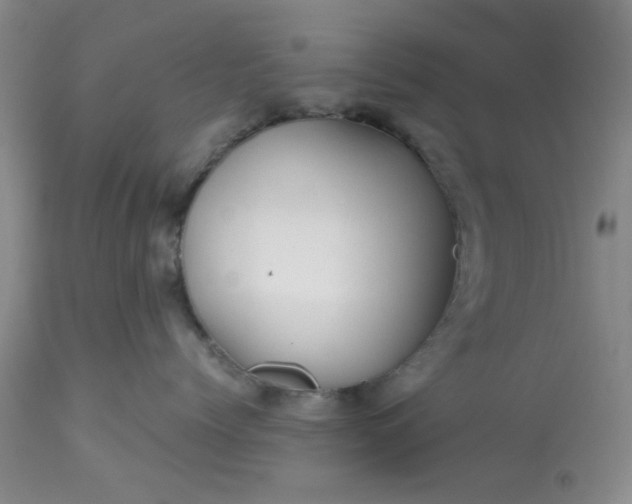 X0000113590768200910021717