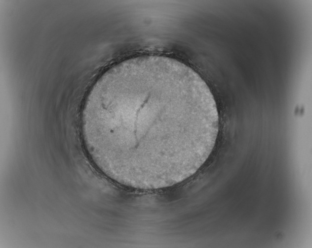 X0000113590769200910021716