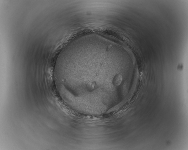 X0000113590772200910021716