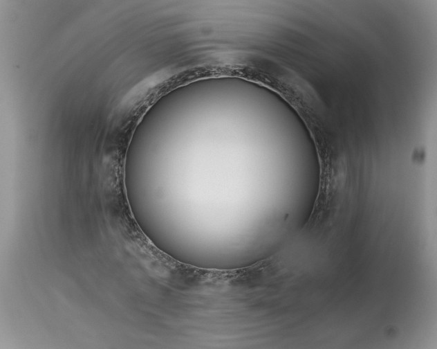 X0000113590773200910021716