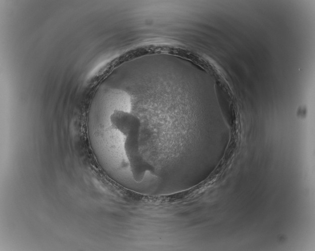 X0000113590775200910021716