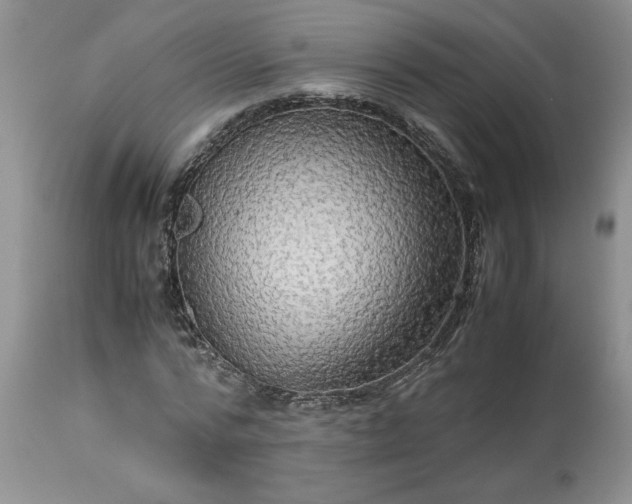 X0000113590776200910021716