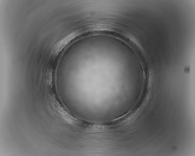 X0000113590777200910021716