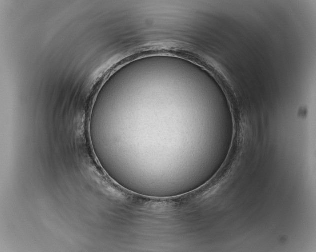 X0000113590778200910021716