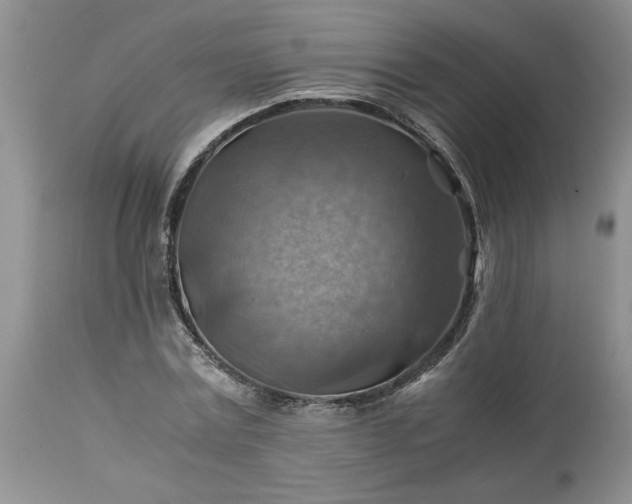 X0000113590779200910021716