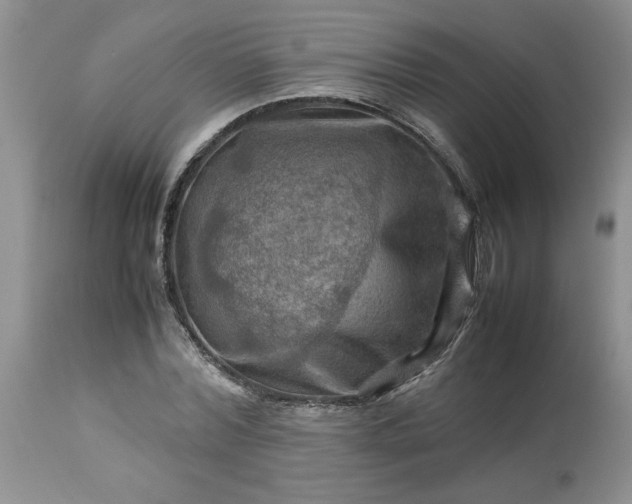 X0000113590780200910021716