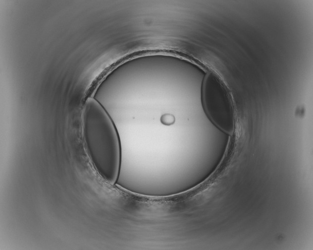 X0000113590781200910021716