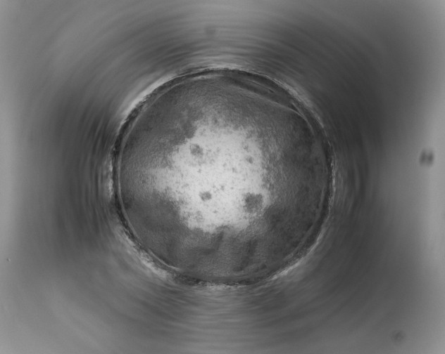 X0000113590782200910021716