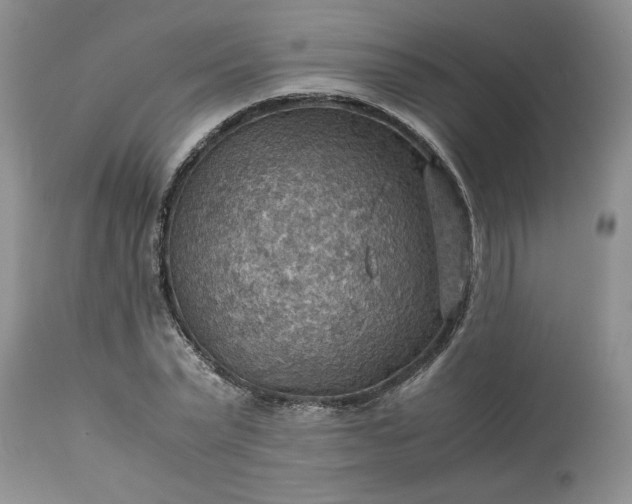 X0000113590783200910021716