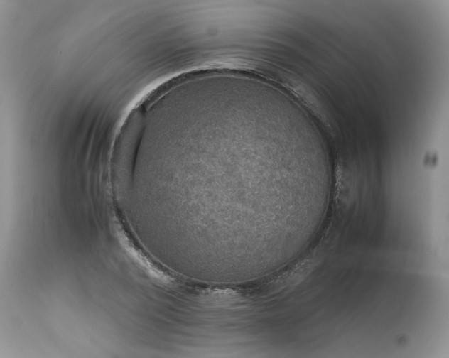 X0000113590784200910021716