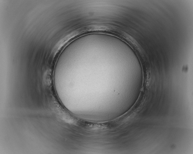 X0000113590786200910021716