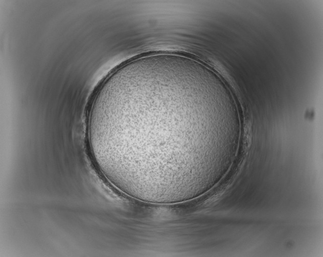 X0000113590787200910021716