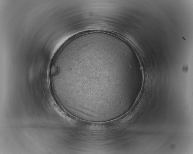 X0000113590788200910021716