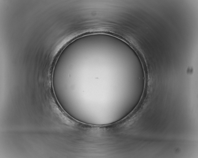 X0000113590789200910021716