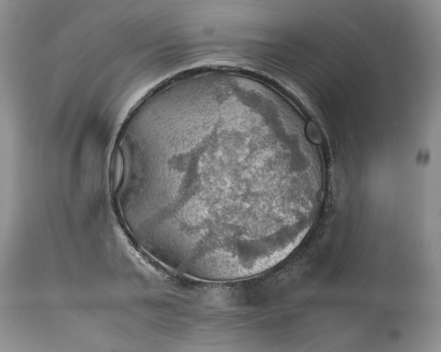 X0000113590791200910021716