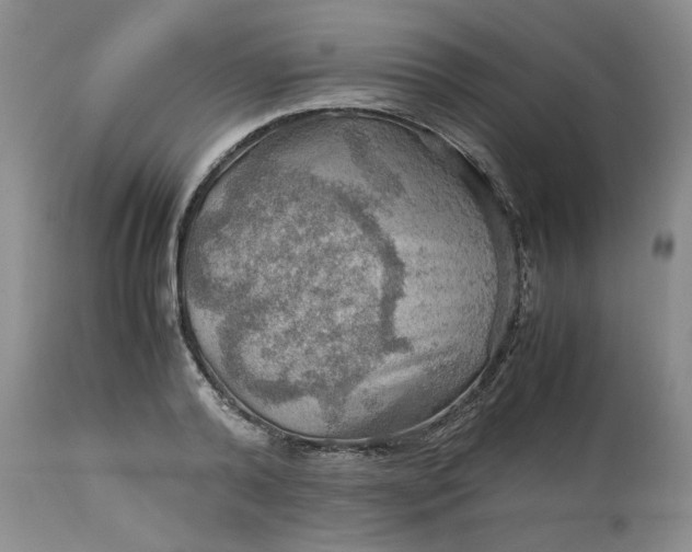 X0000113590792200910021716