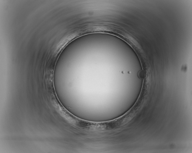 X0000113590793200910021716