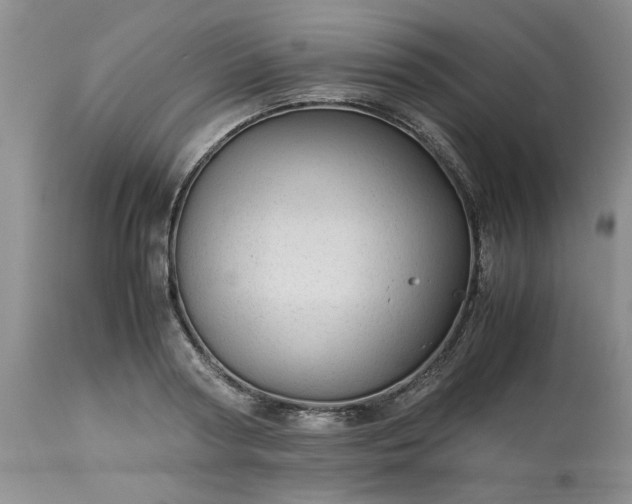 X0000113590794200910021716