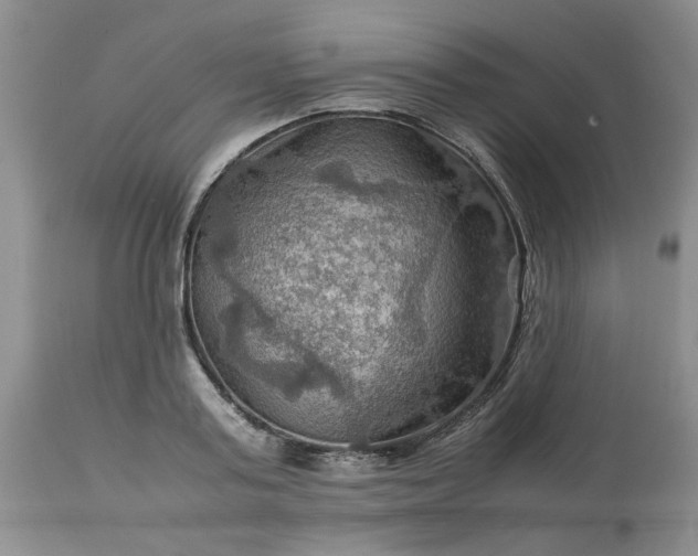 X0000113590795200910021716