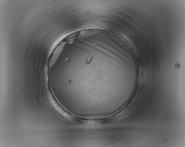 X0000113590796200910021716