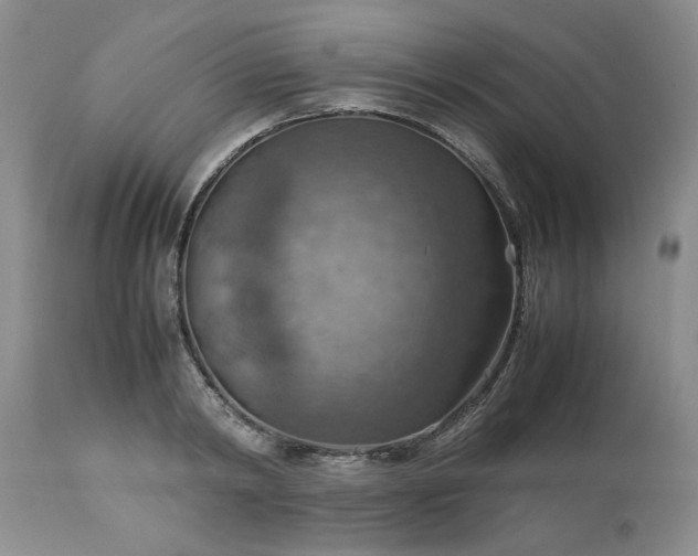 X0000113590798200910021716