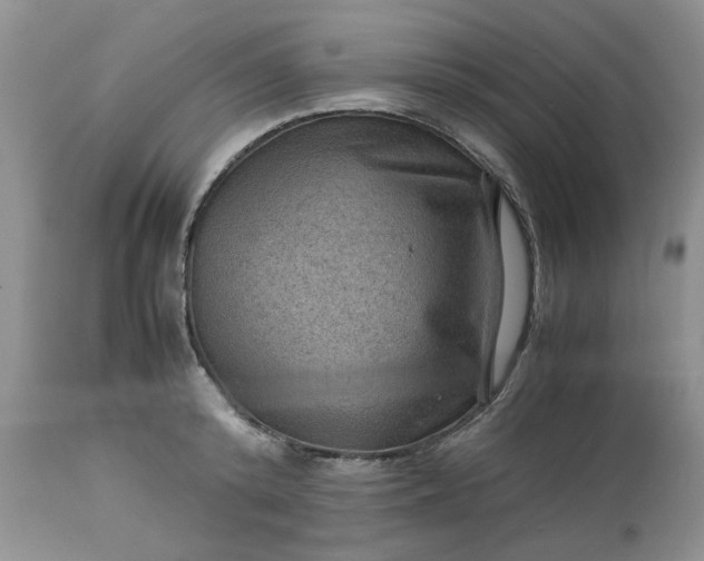 X0000113590800200910021716