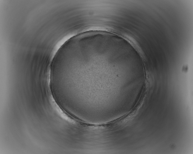 X0000113590804200910021715